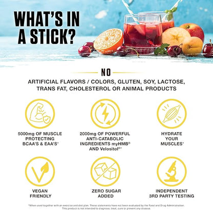 Ambrosia Hydroglyph Fasting Electrolytes Packets | Hydration Powder with Amino Acids | Sugar Free Electrolyte Powder for Fasting & Intra Workout | 30 Single Servings, Variety Pack