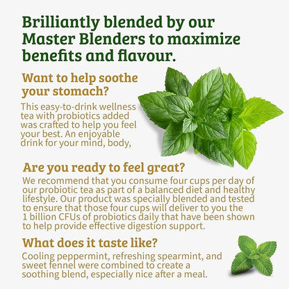 Twinings Peppermint with Probiotics Herbal Tea, 18 Count (Pack of 6), Supports Healthy Digestion, Naturally Caffeine-Free, Enjoy Hot or Iced, 96 Teabags