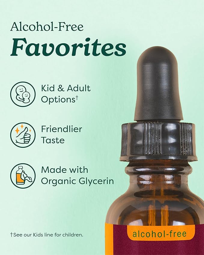 Kids Fast Asleep – Tasty, Organic, Alcohol-Free Kids Sleep Support Herbal Extract With Lemon Balm, California Poppy & Passionflower, Soothes Nap & Nighttime Transitions, Vegan, 1 Oz