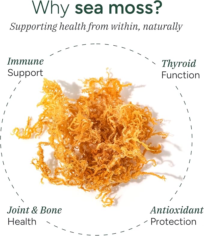 ROOT LABS Sea Moss Gummies I 92+ Minerals I Black Seed Oil I KSM 66 Ashwagandha I Lab Tested I No Added Sugar | for Men, Women I Non-GMO I 100% Natural & Organic I 1600 mg I 120 Gummy
