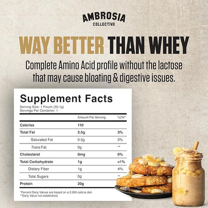 Ambrosia Plant Protein Powder 20g | Vegan Pea Protein Powder with BCAA Amino Acids | Dairy Free, Keto-Friendly, No Added Sugar | 25 Servings | Banana Maple
