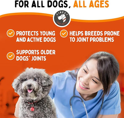 Liquid Glucosamine for Dogs with Chondroitin, MSM & Hyaluronic Acid (32oz). Hip & Joint Supplement Supports Better Mobility & Promotes New Cartilage. Eases Joint Stiffness. Rejenease, Made in USA
