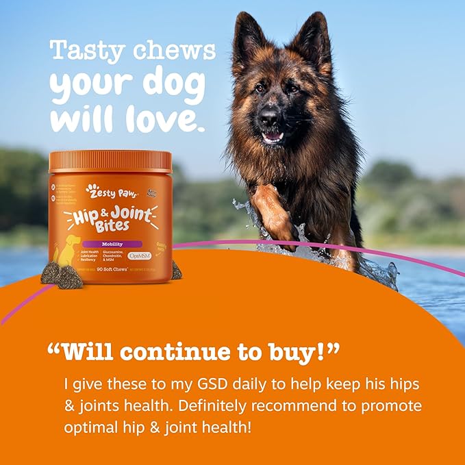 Zesty Paws Hip and Joint Supplement for Dogs - Glucosamine with Chondroitin, MSM, Vitamins C and E Dog Joint Relief - Mobility Bites Duck – 90 Count