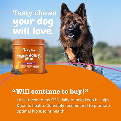 Zesty Paws Hip and Joint Supplement for Dogs - Glucosamine with Chondroitin, MSM, Vitamins C and E Dog Joint Relief - Mobility Bites Duck – 90 Count
