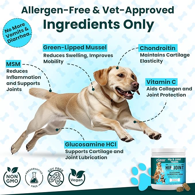 Glucosamine for Dogs Hip and Joint Supplement - Chondroitin, MSM, Green-Lipped Mussel - Clear Hip & Joint - Advanced Mobility Cartilage Support, Bone Health - Tasty Chews 60ct - Made in USA