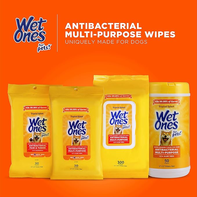 Wet Ones for Pets Multipurpose Dog Wipes with Aloe Vera, Tropical Splash Scent - Pet Bathing Wipes with Wet Lock Seal for Dog Paws & All Over Use, 100 Count - 12 Pack