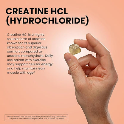 WellPath Creatine HCl Gummies 750mg – Chewable Creatine Gummies for Women and Men – 5g Monohydrate Equivalent - Peach Yuzu Tart Flavor, Real Sugar - Cognitive & Performance Support – Non-GMO, 90ct