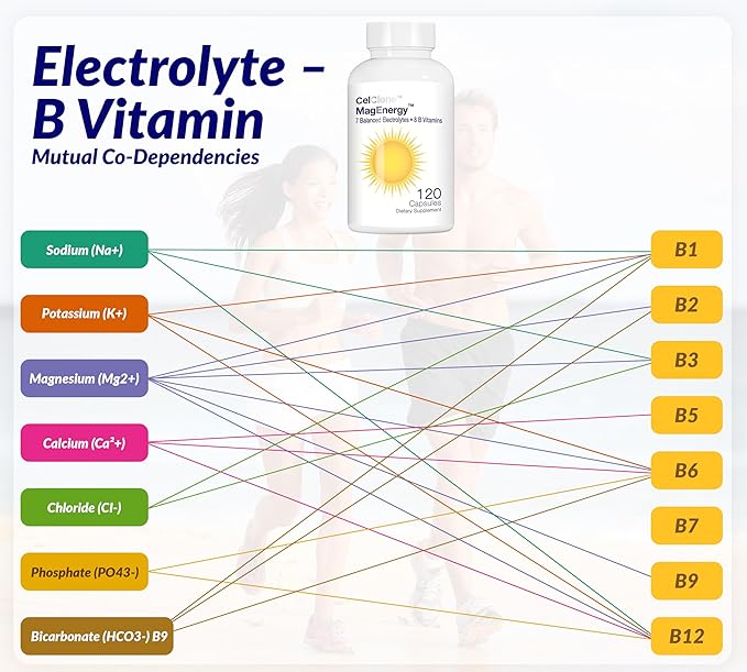 CELCLENE MagEnergy 7 Electrolytes, 8 Super B Vitamins, High Magnesium, High Methyl B12, Methyl Folate, D3/K2, Biotin, Zinc for Hydration, L-Theanine, Choline, Green Tea, Ginger Extracts