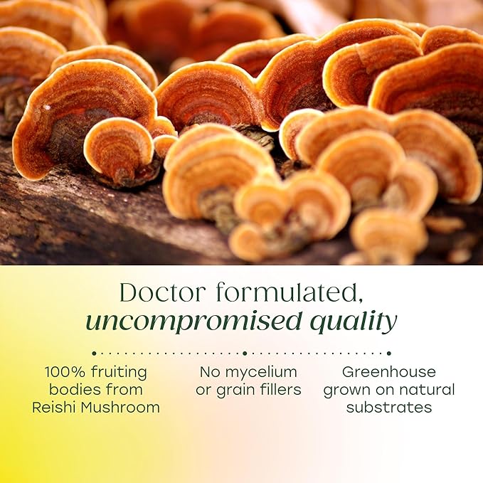 MegaFood Superfood Mushroom Stress Relief - Reishi Mushroom Supplement Clinically Studied to Reduce Stress - Doctor Formulated with Ashwagandha KSM 66 - Vegan, Gluten-Free - 60 Capsules, 30 Servings