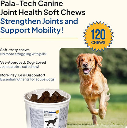 Canine Joint Soft Chews (120 ct) - Glucosamine & MSM Joint Supplement for Dogs - Dog Arthritis Pain Relief – Supports Mobility & Eases Stiffness - Tasty & Easy to Give
