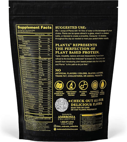 Ambrosia Planta - Premium Plant-Based Protein | Vegan & Keto Friendly | Gourmet Flavors with No Bloating or Stomach Upset | Gluten & Soy Free | No Added Sugar | 14 Servings | (Cinnamon Roll)