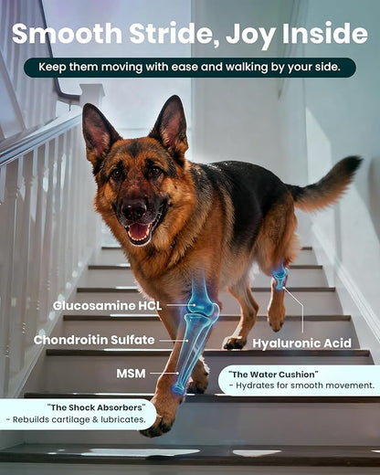 NAD+ Glucosamine for Dogs Hip and Joint Supplement - 300 Soft Chews - Advanced Mobility Support with MSM, Chondroitin, Resveratrol & CoQ10 - Healthy Aging & Vitality