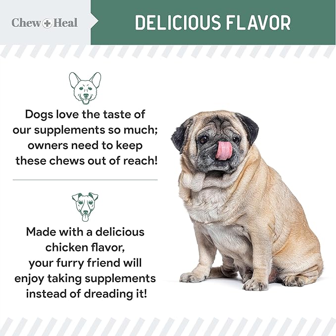 Chew + Heal Labs Glucosamine for Dogs Hip and Joint Supplement - 120 Senior Dogs Mobility Soft Chews - Made with Glucosamine, MSM, Chondroitin, Green Lipped Mussels and More - Made in The USA