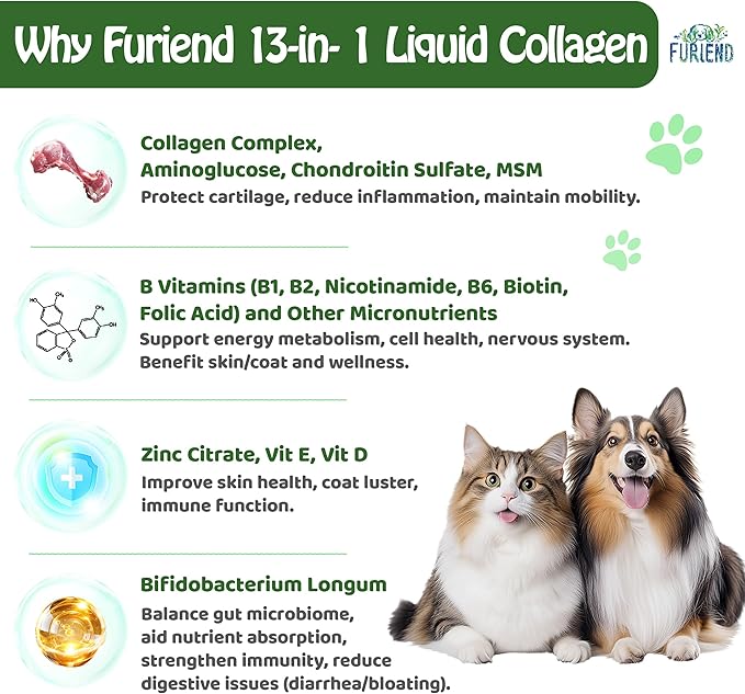 Premium 5X Organic Liquid Collagen for Dogs and Cats | No Chicken | Types I, II, III, V & X Collagen Peptides, MSM and Biotin for Joint, Skin, Coat Health & Immunity | Bacon Flavor 2 fl oz