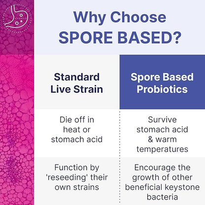 Microbiome Labs MegaSporeBiotic Probiotics for Women & Men - Spore-Based Probiotic for Gut Health & Digestive Support - Shelf-Stable, Travel-Friendly, Mens & Womens Probiotics (60 Capsules)