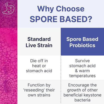 Microbiome Labs MegaSporeBiotic Probiotics for Women & Men - Spore-Based Probiotic for Gut Health & Digestive Support - Shelf-Stable, Travel-Friendly, Mens & Womens Probiotics (180 Capsules)