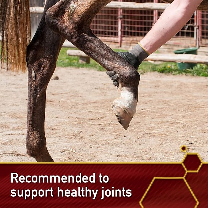 Vita Flex MSM Ultra Pure Joint Supplement for Dogs, Horses & Cats, 4 Pounds – MSM Supplement, Powder for Healthy Joints, Collagen & Mobility Support