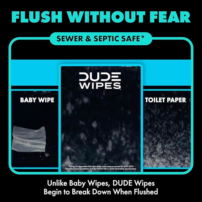 DUDE Wipes Mint Chill Flushable Wipes - Extra-Large Adult Wet Wipes - 1 Pack (48 Count), Travel Pack - Infused with Tea Tree Oil, Vitamin E, and Aloe - Septic and Sewer Safe