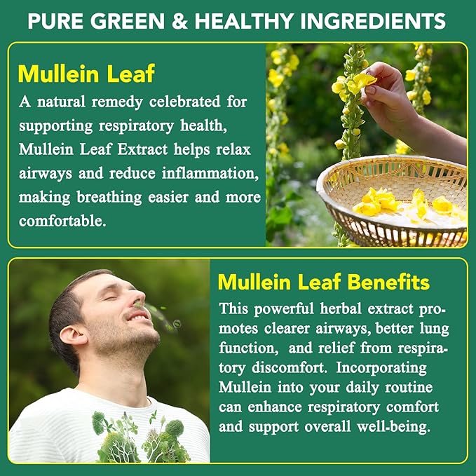 120 Count Mullein Gummies for Lung Cleanse, 2000mg Organic Mullein Leaf Extract for Lung Cleanse and Respiratory Support, Natural Mullein Herbal Supplement, Pear Flavor Gummies