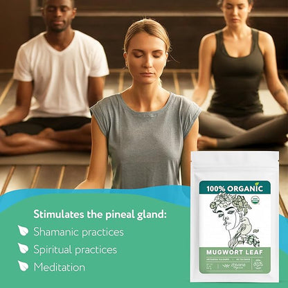Organic Mugwort Tea Bags (40 TeaBags) – Te de Artemisa - Mugwart Tea for Digestive Health, Liver, Women Cycle, Relaxation (Artemisia Vulgaris)