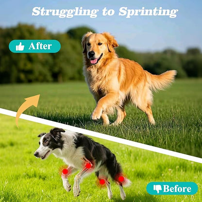Dog Hip & Joint Supplement – Glucosamine for Dogs Chews with Chondroitin & MSM, Advanced Joint Support for Large & Senior Dogs, Supports Mobility & Everyday Comfort – 180 Count