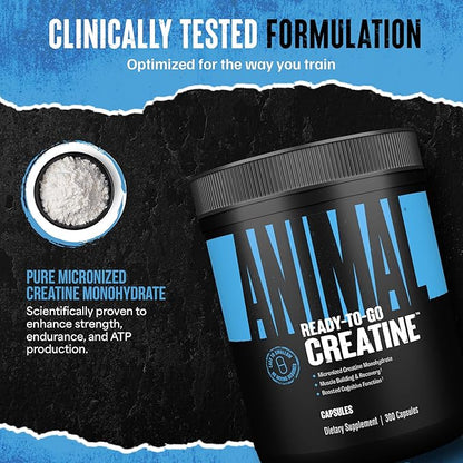 Animal Micronized Creatine Monohydrate Capsules - 300 Caps, 2500mg per Serving to Support Muscle Growth, Endurance, ATP Production, Cognitive Function, Strength, Recovery, and Delay Muscle Fatigue