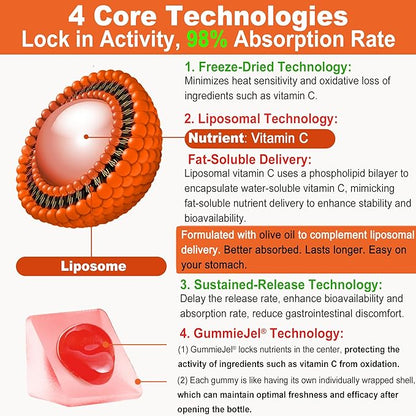 Natural Liposomal Vitamin C Gummies for Adults Kids 9+, Chewable Vitamin C w/ 11mg Zinc, D3, Elderberry, Echinacea, Bioflavonoid,Immune Support, Whole Food VIT C from Fruits, Sugar Free, 2Pack