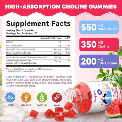 CDP Choline Supplement Gummies 550 mg: Citicoline Brain Supplement for Memory Focus Liver Health with DHA B12, High Potency Sugar Free Vegan Non GMO Watermelon Flavor 30 Days