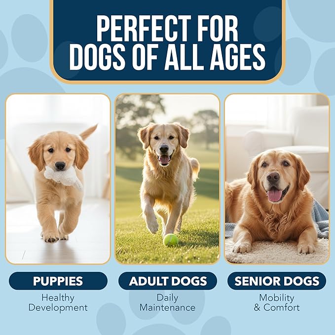 Liquid Collagen for Dogs - Dog Collagen Drops for Dogs, Supports Joints, Skin, Coat, Bones and Itch Relief for Dog, 6 in 1 Formula, 3 Types Collagens, Biotin, Vitamin C, Vitamin E and Hyaluronic Acid
