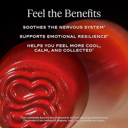 SAKARA Serene State Stress Relief Gummies – Fast-Acting Calm Supplement with Zembrin®, L-Theanine & Phosphatidylserine – Support Calm Mind & Body – Healthy Response to Stress, Wildberry - 56 Gummies