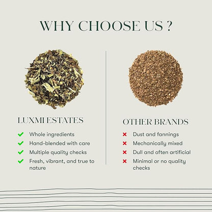 Luxmi Estates Holy Basil Tulsi Ginger Tea for Immunity | Loose Leaf 25 Cups (50g/1.76oz) | Caffeine Free | Non-GMO