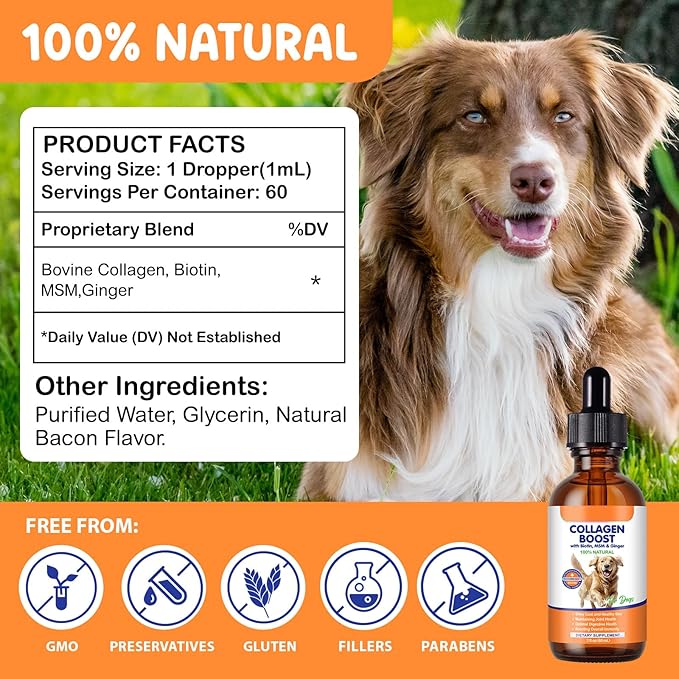 Liquid Collagen for Dogs, Dog Joint Supplements, Skin and Coat Supplement, Dry and Itchy Skin Relief, Support Digestive Health, Dog Collagen Drops with Biotin, MSM, Ginger, Bacon Flavor