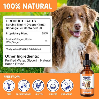 Liquid Collagen for Dogs, Dog Joint Supplements, Skin and Coat Supplement, Dry and Itchy Skin Relief, Support Digestive Health, Dog Collagen Drops with Biotin, MSM, Ginger, Bacon Flavor
