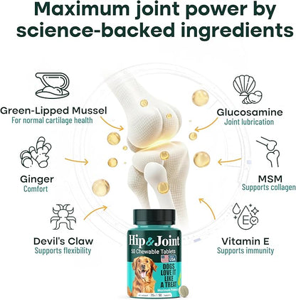 Natureflow Hip & Joint Supplement for Dogs, 300mg Green-Lipped Mussel for Dog Arthritis Pain Relief, Glucosamine, MSM & Chondroitin, Zero Sugar, Large Medium Small Breeds, 50 Chewable Tablets