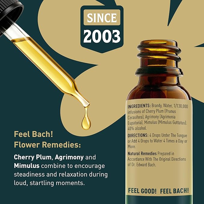 Feel Bach! Thunder Storms Remedy - Natural Homeopathic Flower Essences to Alleviate Pet Fears to Noise, Fireworks, Storms, & Booms - Vegan, Gluten & Sugar-Free, Non-Habit Forming, 20ml (0.7 fl oz)