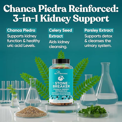 Chanca Piedra Stone Breaker - The Original Stone Breaking Formula with Celery Seed & Parsley - Supports Kidney, Gallbladder & Urinary Tract Cleansing to Help Flush Impurities - 60 Vegetarian Capsules