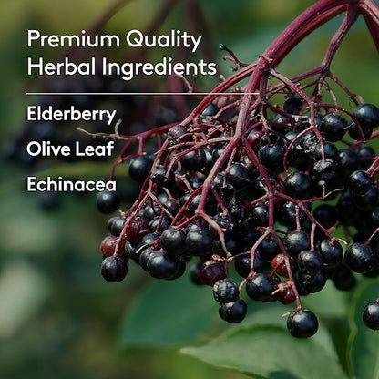 Immune + Wellbeing Syrup, Herbal Formula with Elderberry, Echinacea & Olive Leaf, High Absorption, Wild Berry Flavor, Plant-Based - 6.7 Fl oz (40 Servings)