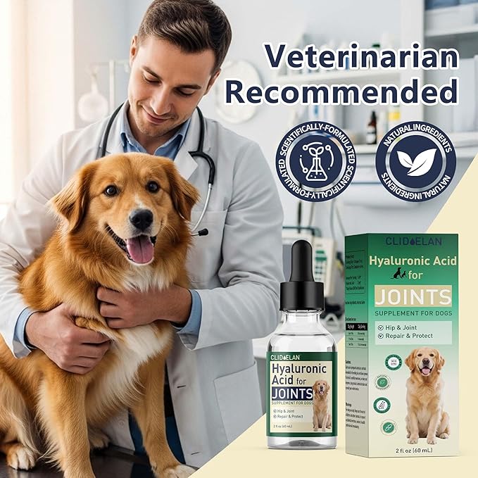 Hyaluronic Acid for Dogs – Liquid Joint Supplement for Dogs Supporting Mobility, Cartilage & Flexibility – Dog Joint Supplement for Joints, Skin, Coat & Eye Hydration – Pure, High-Molecular HA Drops