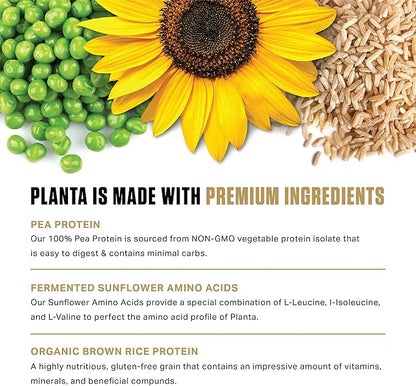Ambrosia Planta - Plant-Based Protein Powder 20g | Dairy Free Vegan Protein Powder with BCAA Amino Acids | Keto-Friendly, No Added Sugar | 25 Servings | Peanut Butter Cup