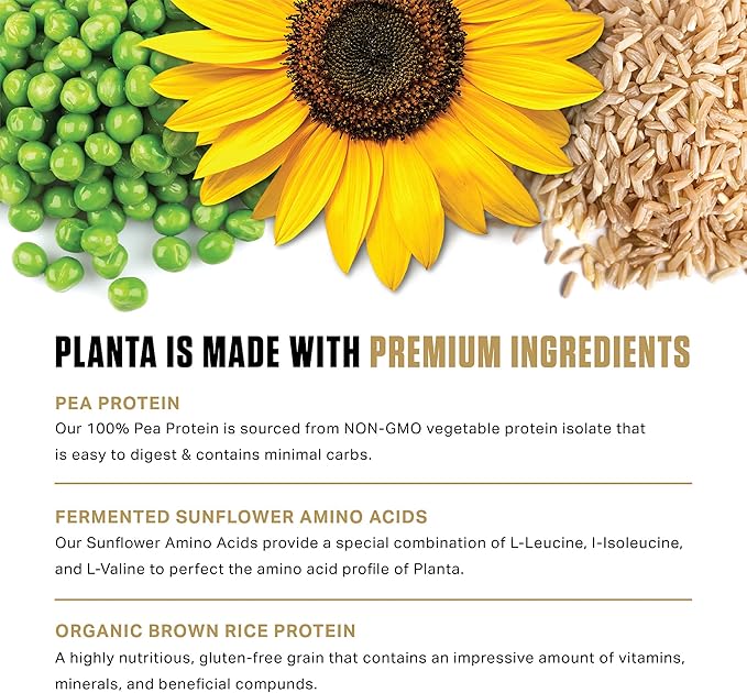 Ambrosia Planta - Plant-Based Protein Powder 20g | Dairy Free Vegan Protein Powder with BCAA Amino Acids | Keto-Friendly, No Added Sugar | 25 Servings | Cinnamon Roll