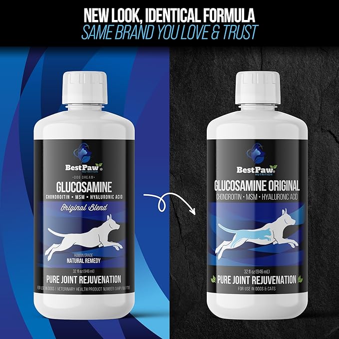 Best Paw Nutrition Glucosamine Chondroitin for Dogs & Cats - Liquid Hip and Joint Supplement with MSM & Hyaluronic Acid - Joint Support for Arthritis, Hip Dysplasia and Pain Relief - 32 oz