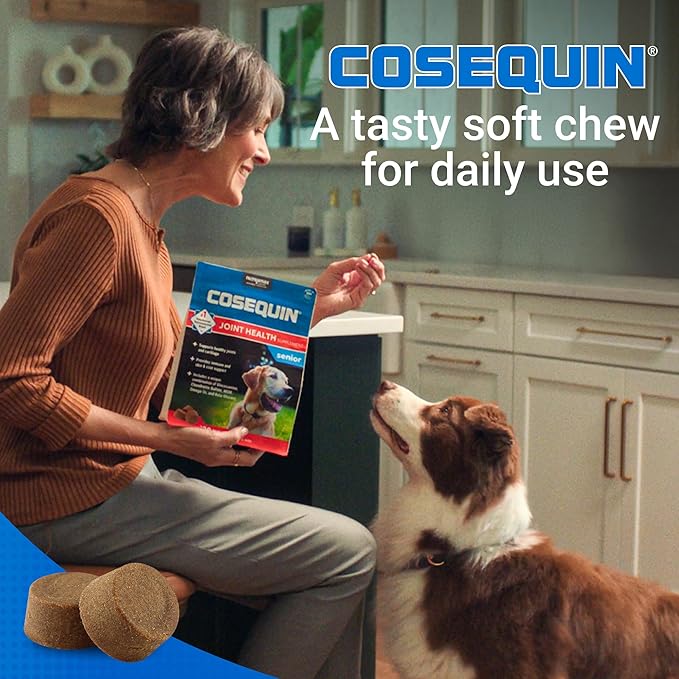 Nutramax Cosequin for Senior Dogs Joint Health Supplement, Contains Glucosamine for Dogs, Chondroitin, MSM, Omega-3s and Beta-Glucan, Supports Joint, Skin and Coat, Immune Health, Soft Chews, 60 Count