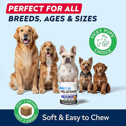 STRELLALAB Melatonin for Dogs to Sleep 6mg - Doggie Sleep Aid Treats - Sleeping Pills for Anxiety - Extra Strength Calming Chews Large & Medium Breed Help Sleep at Night - Made in USA - 60Ct