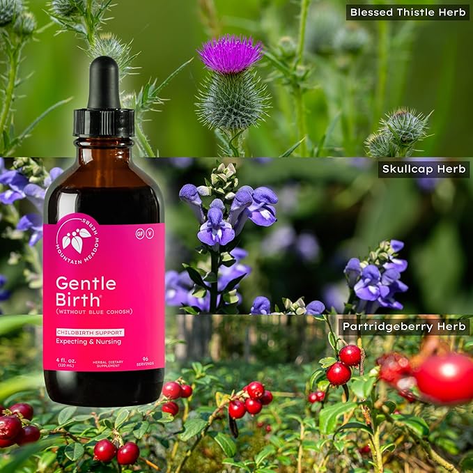 Mountain Meadow Herbs Gentle Birth for Birth Prep/Labor Prep, Fast Acting Liquid Herbal Extract for Childbirth Support w/o Blue Cohosh - 4oz