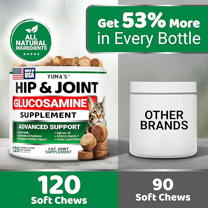 YUMA'S Cat Hip and Joint Health Supplement Chews – Advanced Glucosamine for Cats – MSM, Chondroitin & Omega-3 Salmon Oil – Supports Mobility, Joint Pain Relief, Cat Vitamins for Indoor & Outdoor Cats