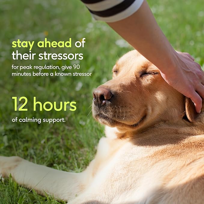 Native Pet Advanced Calming Chews for Dogs Medium Breed - Anxiety Relief, Stress, Separation & Sleep Support with Melatonin for Dogs, Hydrolyzed Casein, Valerian Root & L-Tryptophan - 30 Days Supply