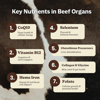 MK Supplements Grass-Fed Beef Organs Capsules | 5 Organs in Nature-Identical Ratios | B12, Copper & Heme Iron | Regeneratively Raised | 150 Capsules