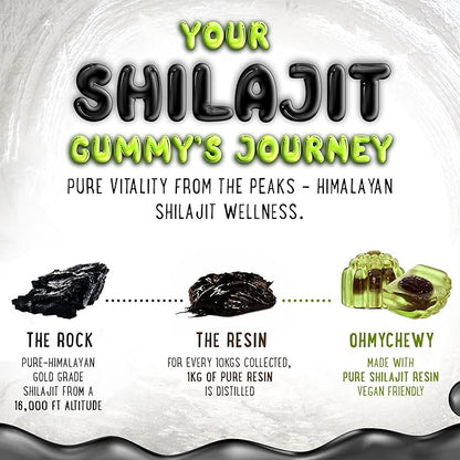 OH MY CHEWY Pure Himalayan Shilajit Gummies - High Potency Gold Grade Resin - Energy Boost and Immune Support for Men and Women with Ashwagandha and Shatavari - 120 Gummy - Apple & Kiwi