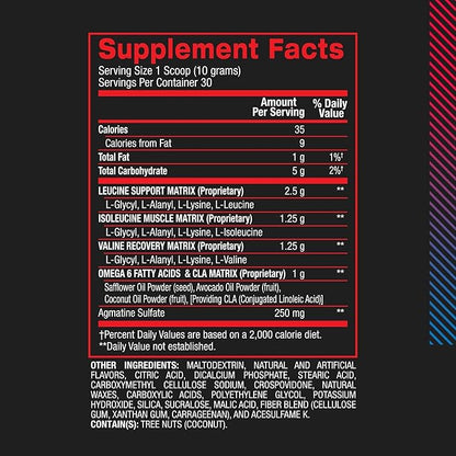 BPI Sports Best BCAA Powder - Muscle Recovery Support - Branched Chain Amino Acids | Building Blocks of Protein and Muscle - Post Workout Recovery – Hydration – Rainbow Ice, 30 Servings