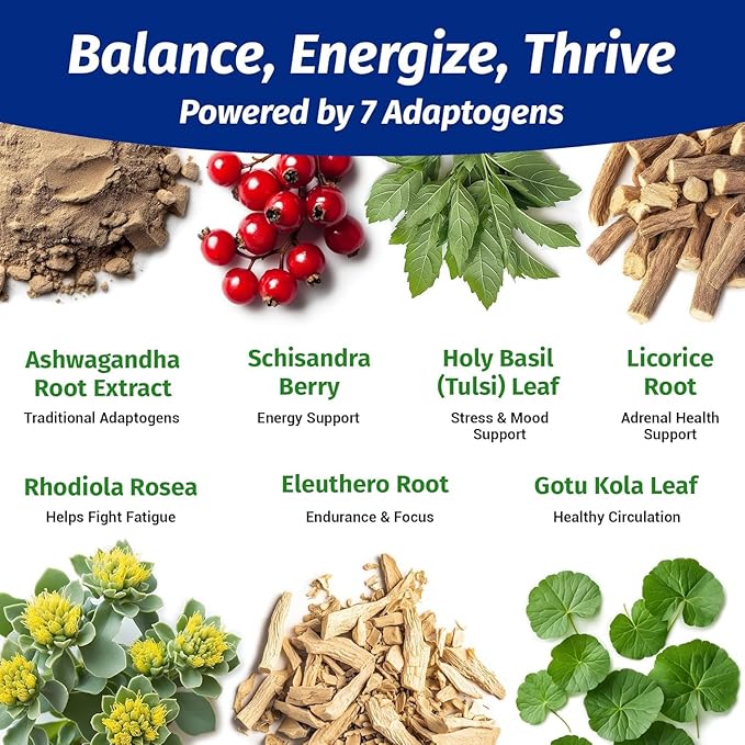 1 Body Ashwagandha Complex Supplement, Focus and Energy Support, 180 Vegan Capsules